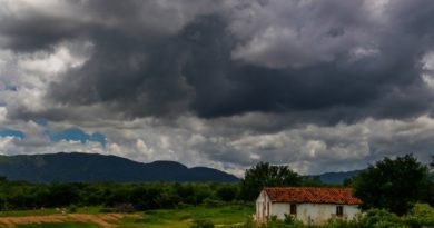 Ceará registra chuvas em mais de 70 cidades; Palmácia tem a maior precipitação em 24 h