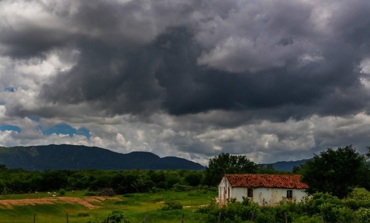 Ceará registra chuvas em mais de 70 cidades; Palmácia tem a maior precipitação em 24 h