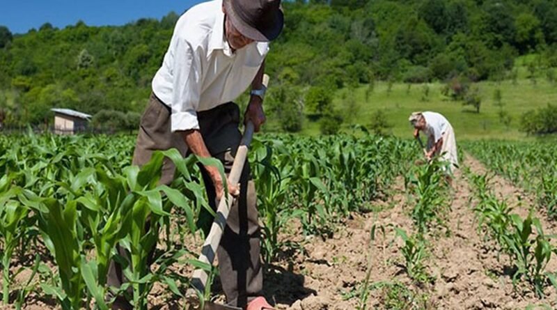 Prefeitura de Caucaia garante pagamento de Seguro Safra para 987 famílias caucaienses