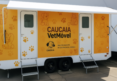 Prefeitura de Caucaia leva Vetmóvel ao Parque Soledade com serviços gratuitos para cães e gato